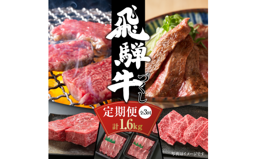 定期便】飛騨牛（全３回）（ステーキ /焼肉 / ブロック[塊] ) 計1.6kg 全3回 | 焼肉 ステーキ カルビ 牛 定期 飛騨高山ミート [S858] 1455205 - 岐阜県白川村