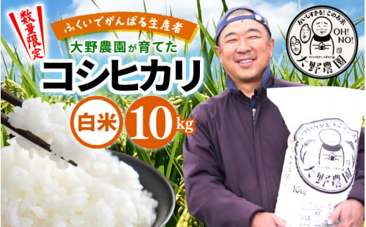 【先行予約】【令和6年産・新米】 コシヒカリ 10kg 福井県美浜町 ふくいでがんばる生産者 大野農園が育てた こしひかり 【2024年10月中旬以降順次発送予定】 [m49-a002_10] 1460494 - 福井県美浜町