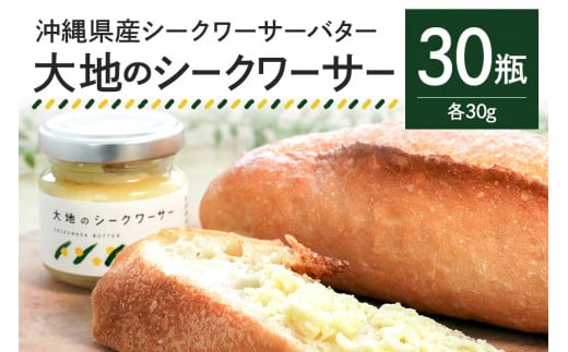 【大容量セット】沖縄県産シークワーサーバター「大地のシークワーサー」30瓶入り 274525 - 沖縄県糸満市