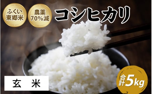 令和5年産 ふくい東郷米 特別栽培米 農薬70％減 コシヒカリ 5kg【玄米】[A-020026_02] 1434239 - 福井県福井市