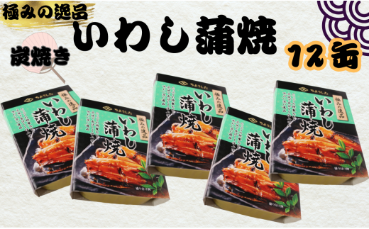 いわし蒲焼 缶詰 12缶 極みの逸品 いわし かば焼き 蒲焼 魚 国産 缶詰 缶 海産物 魚缶詰 備蓄品 保存食 簡単缶詰 長期保存 常温保存 缶詰 備蓄缶詰 防災 非常食 ローリングストック キャンプ アウトドア お取り寄せ グルメ 大容量 おかず 朝食 昼食 夕食 おつまみ 酒 のお供 アレンジレシピ セット ギフト 贈答 贈り物 プレゼント 食品 送料無料 千葉県 銚子市 田原缶詰 1451079 - 千葉県銚子市