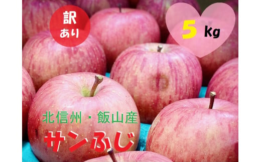 【先行予約】 【訳あり】サンふじ 約5kg（2024年産） (Ab-1) 1452526 - 長野県飯山市