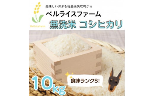 ＜R6年産先行受付＞農家直送 ベルライスファームのコシヒカリ無洗米10kg 1.9ミリ 食味ランクS【1537819】 1445177 - 福島県矢吹町