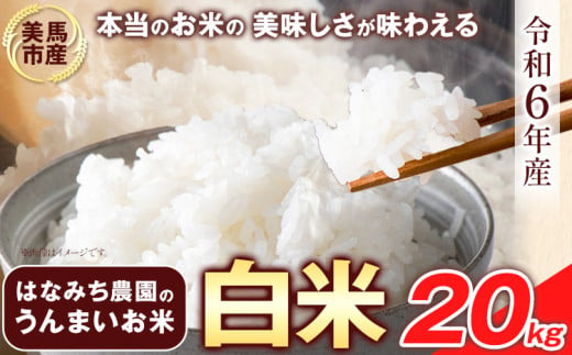 はなみち農園のうんまいお米・白米 令和6年産 20kg 《30日以内に出荷予定(土日祝除く)》白米 美馬市産 実森ラボラトリー株式会社 自家製小麦のお店mimori 送料無料 徳島県 美馬市 1150325 - 徳島県美馬市