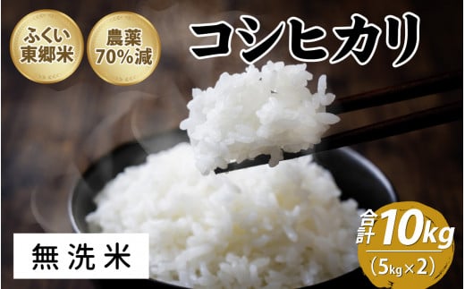 令和5年産 ふくい東郷米 特別栽培米 農薬70％減 コシヒカリ 10kg   5kg×2袋 【無洗米】 [B-020027_04] 1434246 - 福井県福井市