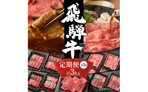 【定期便】飛騨牛 全５回（焼肉・すき焼き・ステーキ）計3kg | 焼肉 ステーキ カルビ 食べ比べ 牛 定期 飛騨高山ミート [s857] 1455204 - 岐阜県白川村