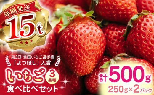 【2024年12月〜順次発送】いちご 食べ比べ セット 3品種 計500g ( 250g × 2P ) 農園直送 産地直送 熊本県産 山都町産 イチゴ 苺 ストロベリー フルーツ 果物 【なかはた農園】[YBI001]  1059537 - 熊本県山都町