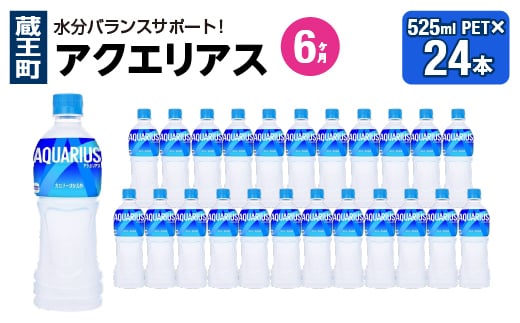 【6か月連続お届け】アクエリアス　500ml PET×24本　【04301-0706】