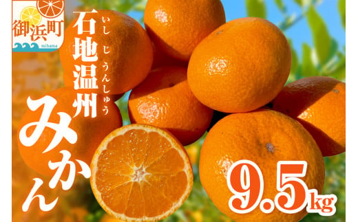 ミカファームの石地温州みかん9.5キロ 果物 フルーツ みかん 温州みかん 石地温州みかん 9.5kg 三重県 御浜町 