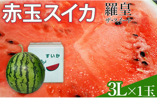 【令和7年度出荷分】赤玉すいか（羅皇ザ・スイート）　３Lサイズ×1玉 1455716 - 千葉県八街市