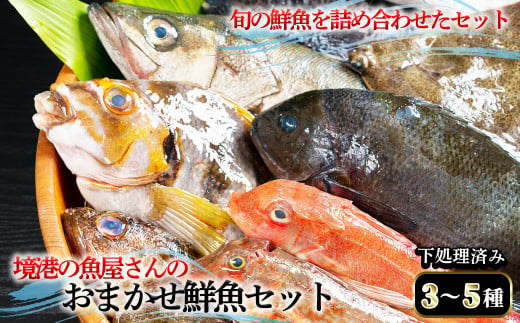 ＜平日着※指定日不可＞境港の魚屋さんのおまかせ鮮魚セット(3～5種) 下処理済み【sm-DD013・sm-DD014】【Workplays】 1465056 - 鳥取県境港市