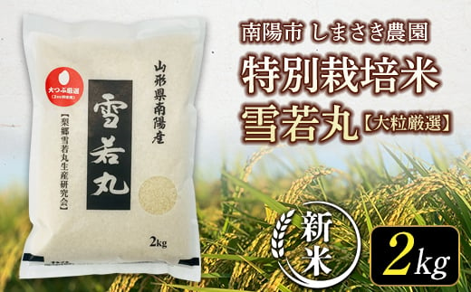 【令和6年産 新米 先行予約】 【米食味コンクール金賞受賞農園】 特別栽培米 雪若丸 (大粒厳選) 2kg 《令和6年10月上旬～発送》 『しまさき農園』 山形南陽産 米 白米 精米 ご飯 農家直送 山形県 南陽市 [1566-R6]