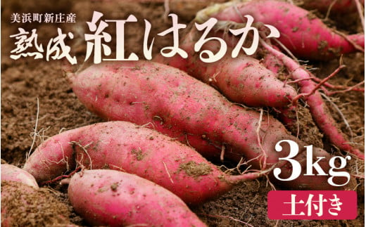 大谷原の熟成さつまいも (3kg 土付き) 約15本 【入手困難・数量限定】【サツマイモ 芋 イモ 紅はるか べにはるか 熟成 甘い おいしい 国産 産地直送】 [m23-a002] 1446523 - 福井県美浜町