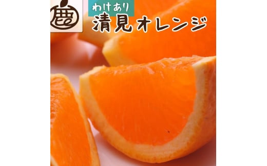 ＜2月より発送＞家庭用 清見オレンジ10kg+300g（傷み補償分）【光センサー食頃出荷】【わけあり・訳あり】【IKE64】 1444851 - 和歌山県九度山町