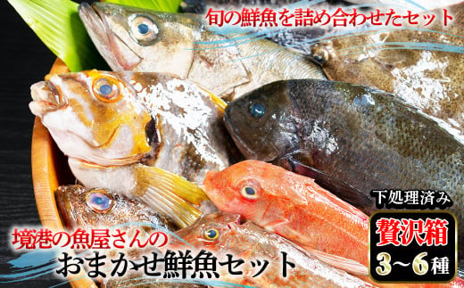 ＜平日着※指定日不可＞境港の魚屋さんのおまかせ鮮魚セット 贅沢箱(3～6種) 下処理済み【sm-DD013・sm-DD014】【Workplays】 1465048 - 鳥取県境港市