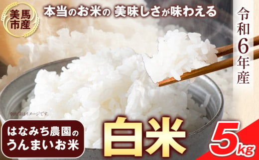 はなみち農園のうんまいお米・白米 令和6年産 5kg [30日以内に出荷予定(土日祝除く)] 白米 美馬市産 実森ラボラトリー株式会社 自家製小麦のお店mimori 送料無料 徳島県 美馬市