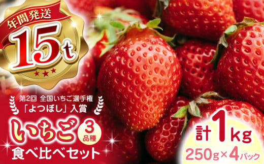 【2024年12月〜順次発送】いちご 3品種 食べ比べセット 計1000g ( 250g × 4P ) 農園直送 産地直送 熊本県産 山都町産 イチゴ 苺 ストロベリー フルーツ 果物 【なかはた農園】[YBI002]  1023095 - 熊本県山都町