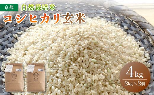 [令和5年度産 2週間以内 発送可能!] 自然栽培米 こしひかり 4kg (2kg×2) 玄米