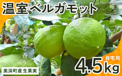 美浜町産温室ベルガモット　生果実『自宅用4