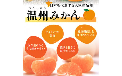 濃厚な味のとろける美味しさ」温州みかん 2.5kg ミカン サイズ混合 Ｓ～Ｌサイズ 甘い 果物 フルーツ 濃厚 産地直送 期間限定 デザート 贈り物  贈答 - 和歌山県御坊市｜ふるさとチョイス - ふるさと納税サイト