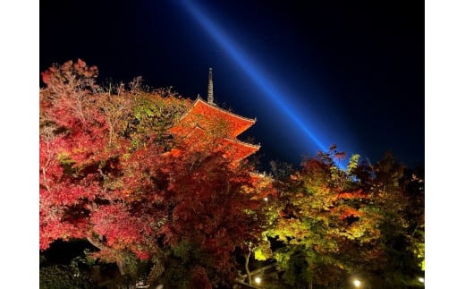 京都府のふるさと納税 文化体験ご招待！文化財を守り伝える京都府基金への寄附※寄附金は文化財保護に使途を限定しています。