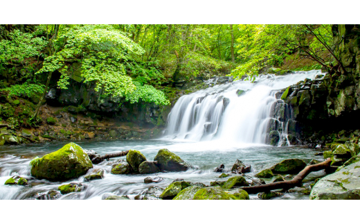 長野県茅野市のふるさと納税 「信州茅野　米沢吉田米」精米 5kg×2個+TATESHINA WATER5本　炊飯セット【1459307】