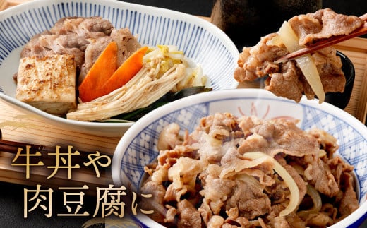 復刻！九州産 黒毛和牛 切り落とし 計1.2㎏ 300g×4パック 小分け
