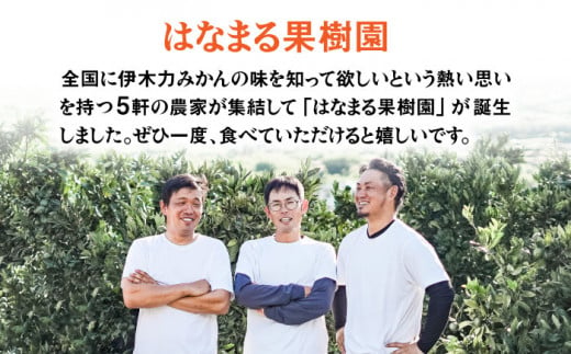 長崎県諫早市のふるさと納税 【先行予約】冷凍 伊木力みかん 400g×4袋 計1.6kg / みかん ミカン 蜜柑 冷凍みかん 冷凍 果物 くだもの フルーツ / 諫早市 / 山野果樹園 [AHCF006]