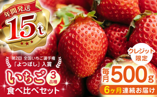 【先行予約】【全6回定期便】いちご 食べ比べセット 総計3.0kg ( 250g × 2P × 6回 ) 農園直送 産地直送 熊本県産 山都町産 イチゴ 苺 ストロベリー フルーツ 果物 【なかはた農園】[YBI014]  1023099 - 熊本県山都町