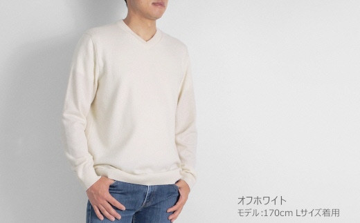 カシミヤ100% Vネックセーター(メンズ) オフホワイト・LL 新潟県 五泉市 高橋ニット株式会社 586210 - 新潟県五泉市