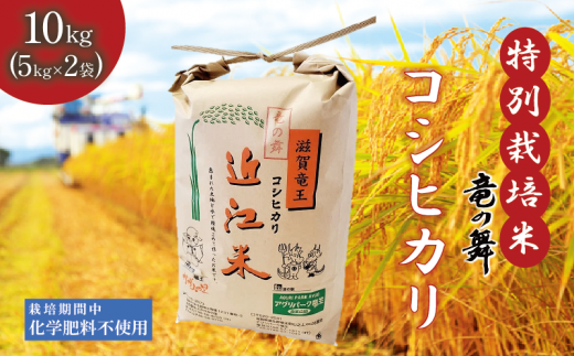 新米 【令和6年9月上旬より順次発送】 こしひかり 白米 10kg  （ 5kg × 2袋） 2024年産 竜の舞 化学肥料不使用 特別栽培米 国産 安心 安全 近江米 米 お米 白米 お弁当 玄米 産地直送 滋賀県 竜王町 送料無料 864901 - 滋賀県竜王町