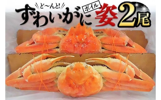 ボイルずわい蟹 姿 800g×2尾 カニ かに 蟹 特大 ズワイガニ  1.6kg ずわいガニ 1600g