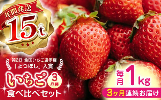 【先行予約】【全3回定期便】いちご 食べ比べ セット 3品種 総計3.0kg ( 250g × 4P × 3回 ) 農園直送 産地直送 熊本県産 山都町産 イチゴ 苺 ストロベリー フルーツ 果物 【なかはた農園】[YBI003]  1059538 - 熊本県山都町