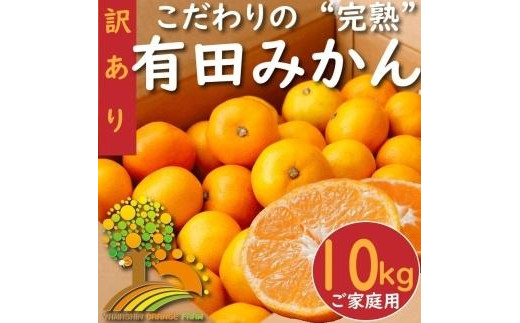 【訳あり】有田みかん 約10kg【2024年10月下旬より順次発送】 596484 - 和歌山県印南町