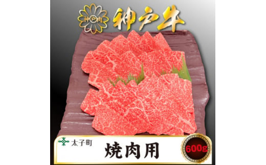 神戸牛　TSY2　焼肉用　600g【1509909】 1448161 - 兵庫県太子町