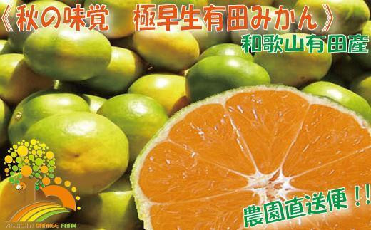 こだわりの 極早生みかん約7.5kg【2024年9月下旬より順次発送】 589736 - 和歌山県印南町
