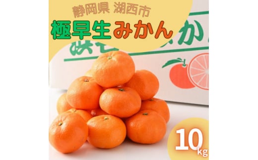 ＜2024年10月発送開始＞浜名湖の「極早生みかん」10kg【1537441】 1448131 - 静岡県湖西市