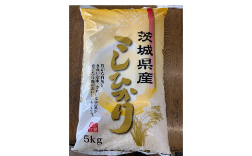 (G389) 【令和５年産】茨城県産精米コシヒカリ５ｋｇ（限定２０袋）　こしひかり　コメ　米　お米　ライス　ご飯 1454078 - 茨城県石岡市