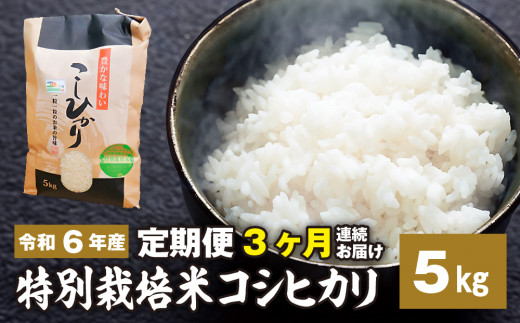 新米[定期便]3ヶ月連続お届け「令和六年産」特別栽培米 コシヒカリ 5kg 定期便 お米 コシヒカリ 3ヶ月お届け 新米 米 お米 コメ こめ 精米 ライス 白米 炭水化物 ご飯 主食 食卓 おにぎり お弁当 茨城県産