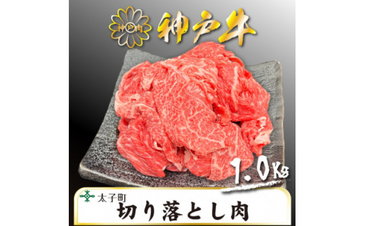 訳あり神戸牛　TSS2S　切り落とし肉　500g×2【1509906】 1448159 - 兵庫県太子町