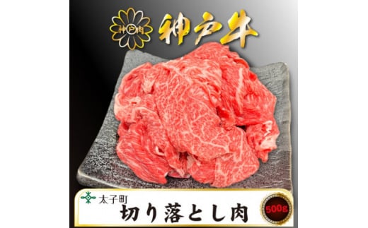 訳あり神戸牛　TSS1　切り落とし肉　500g【1509904】 1448158 - 兵庫県太子町