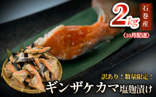 鮭【 訳あり / 限定 】国産 銀鮭 カマ 塩麹漬け 2kg 10月配送 冷凍 不揃い 家庭用 鮭  さけ サーモン 焼魚 惣菜 魚 カマ シャケ しゃけ 鮭カマ わけあり 希少 冷凍 数量限定 宮城県 石巻市 1417677 - 宮城県石巻市