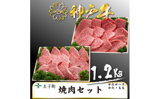 神戸牛　TSYS5　焼肉用セット　合計　1200g【1509934】 1448170 - 兵庫県太子町