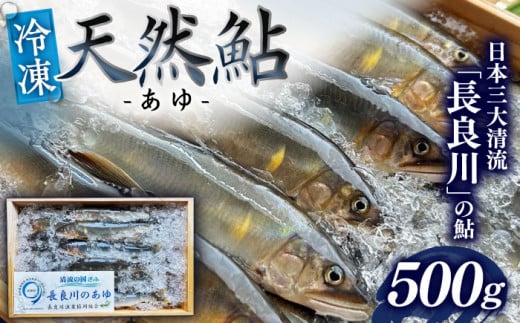 【世界農業遺産】清流長良川 天然鮎(冷凍) 500g 10月～12月申込 産地直送 新鮮 あゆ 岐阜市/SONAMU [ANEX002] 1436447 - 岐阜県岐阜市