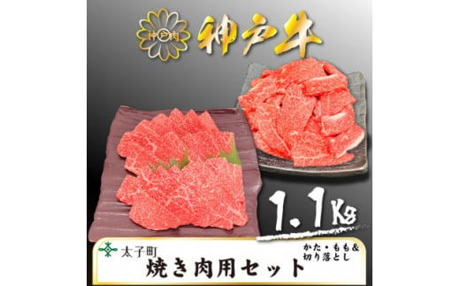 神戸牛　TSY3　焼肉用・焼肉用(切り落とし)セット　合計1100g【1509925】 1448166 - 兵庫県太子町