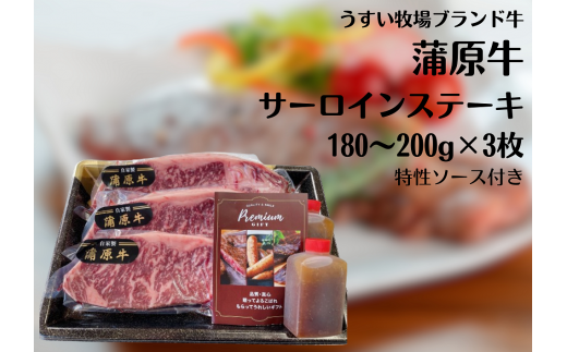 蒲原牛 サーロイン ステーキ セット 180g～200g×3枚 オリジナル 和風 ソース 付き 1T07031 232115 - 新潟県阿賀野市