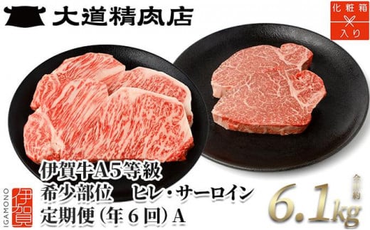 【年6回】伊賀牛 A5ヒレ・サーロイン 定期便A 総合計約6.1kg