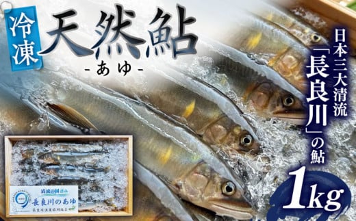 【世界農業遺産】清流長良川 天然鮎(冷凍) 1kg 10月～12月申込 産地直送 新鮮 あゆ 岐阜市/SONAMU [ANEX004] 1436449 - 岐阜県岐阜市