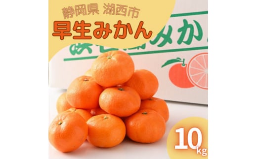 ＜2024年11月発送開始＞浜名湖の「早生みかん」10kg【1537439】 1448129 - 静岡県湖西市