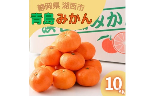 ＜2025年1月発送＞浜名湖の「青島みかん」10kg【1537446】 1448134 - 静岡県湖西市